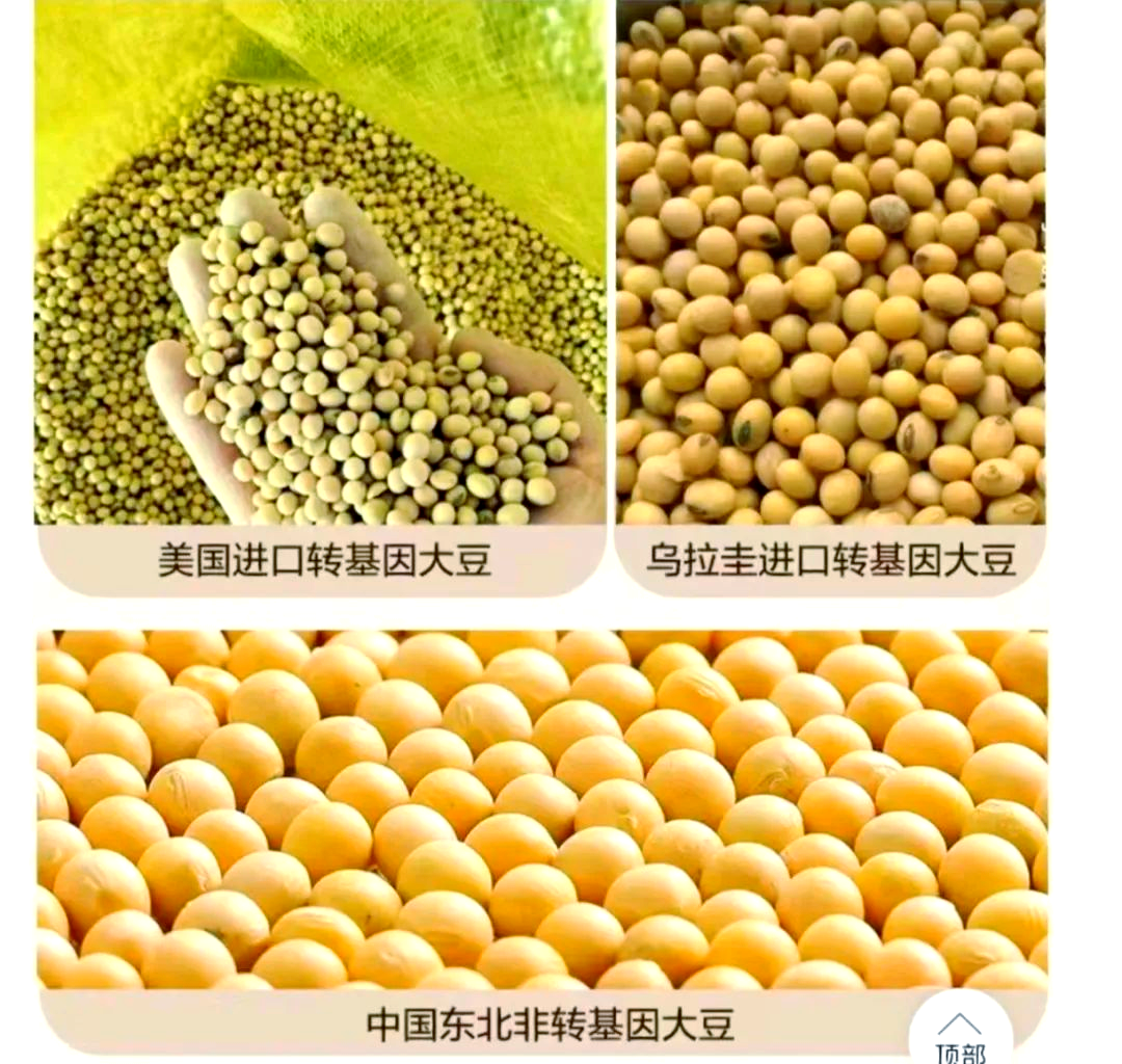 黄大豆和黄豆的区别 绿大豆与黄大豆的差异是怎样的