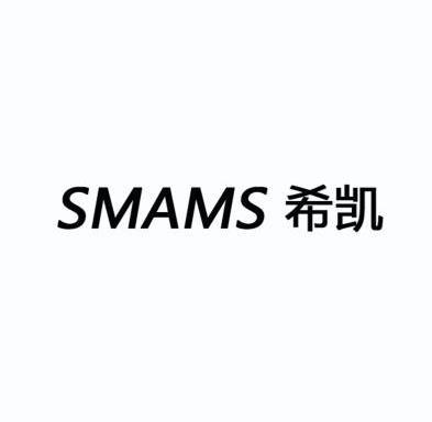 smiis网络是什么意思