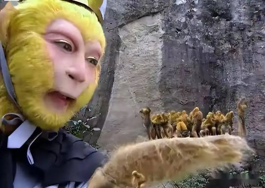 神奇的体细胞克隆技术让“拔毛变猴”不是梦?...