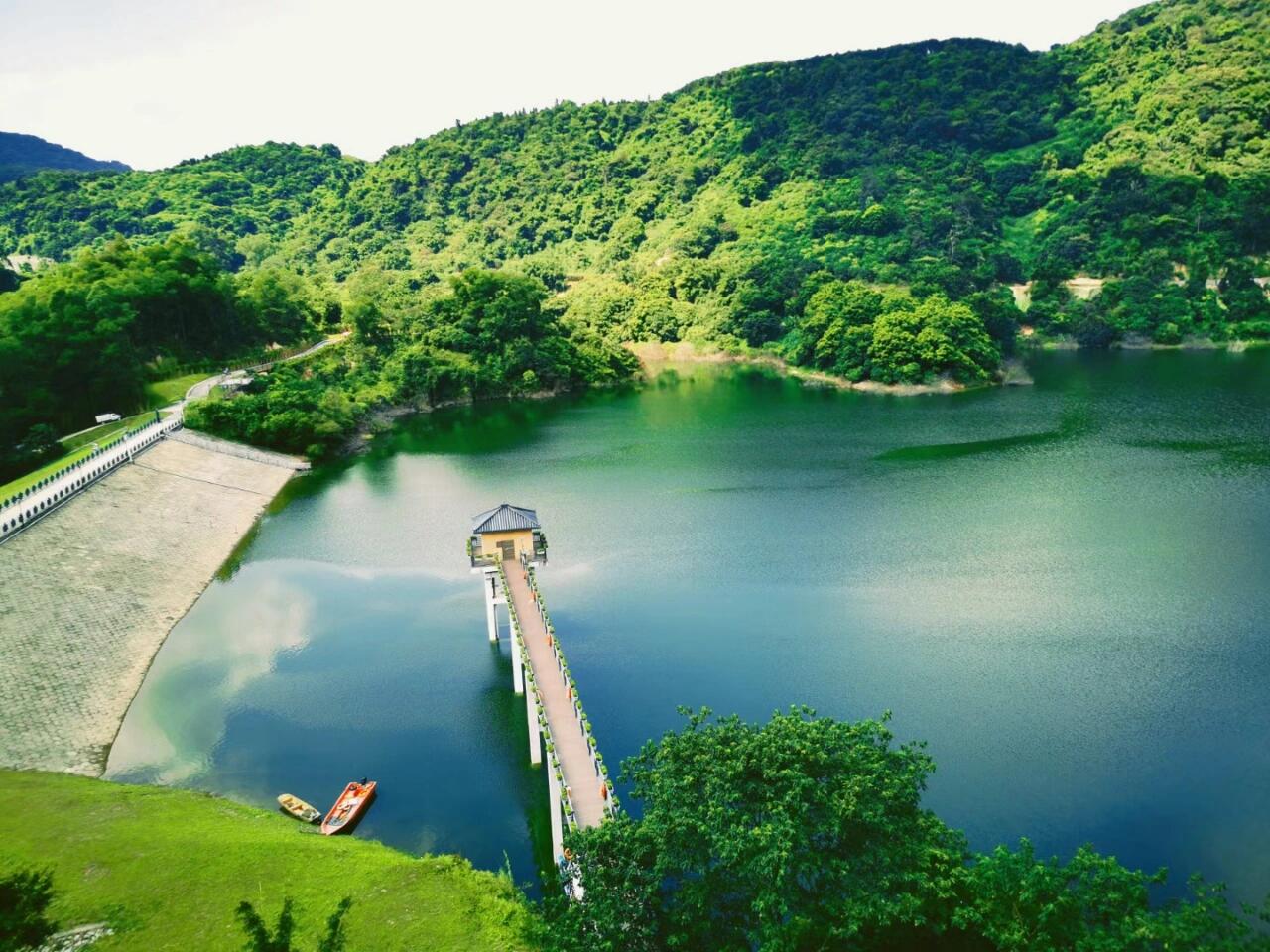 如何在安顺省30%茶费?微信全流程避坑指南