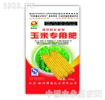 站点风采图片