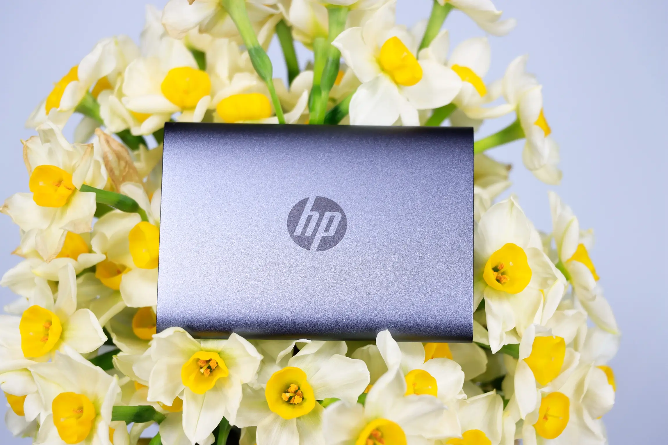 笔记本电脑什么品牌好