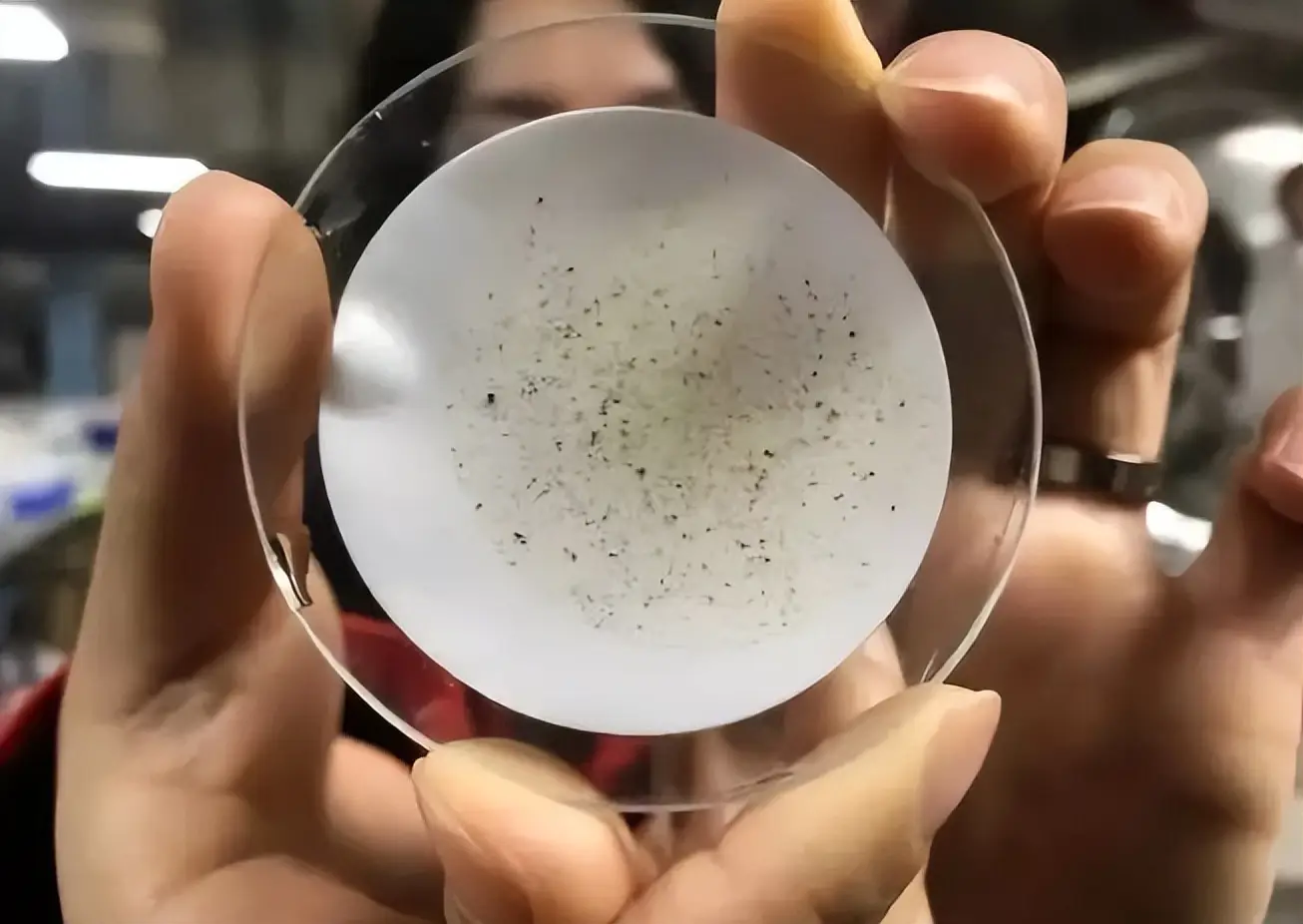 食物中的微塑料，会随着食物进入人体吗？...