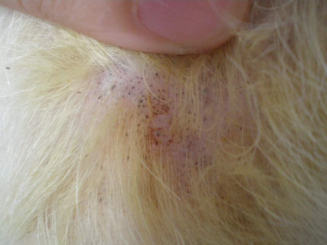 在全球最肮脏的地方寻找抗生素?...