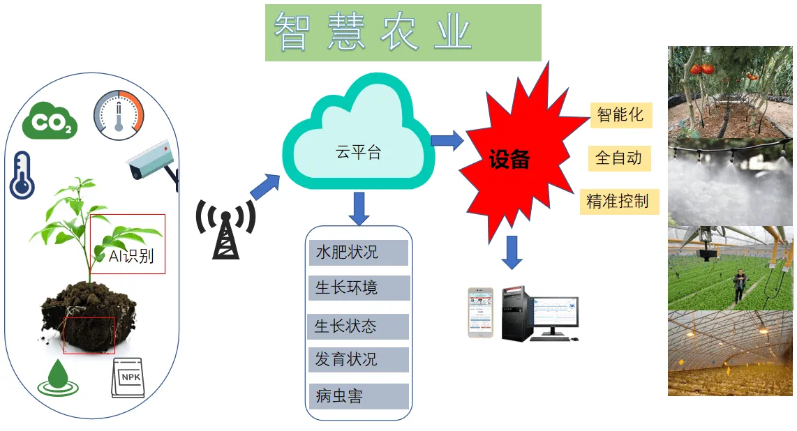 粮食信息