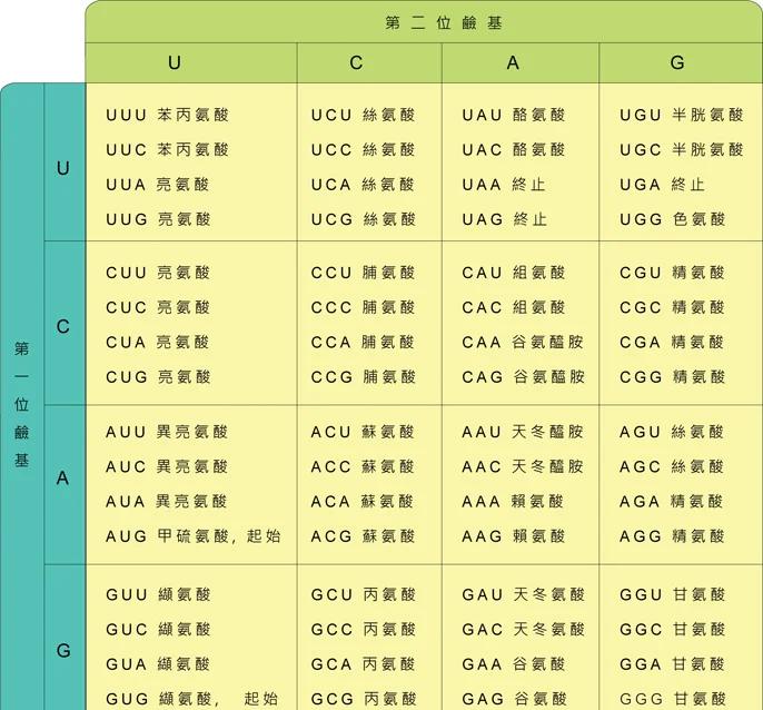929598暗语全解析：数字密码背后的秘密密码学真相