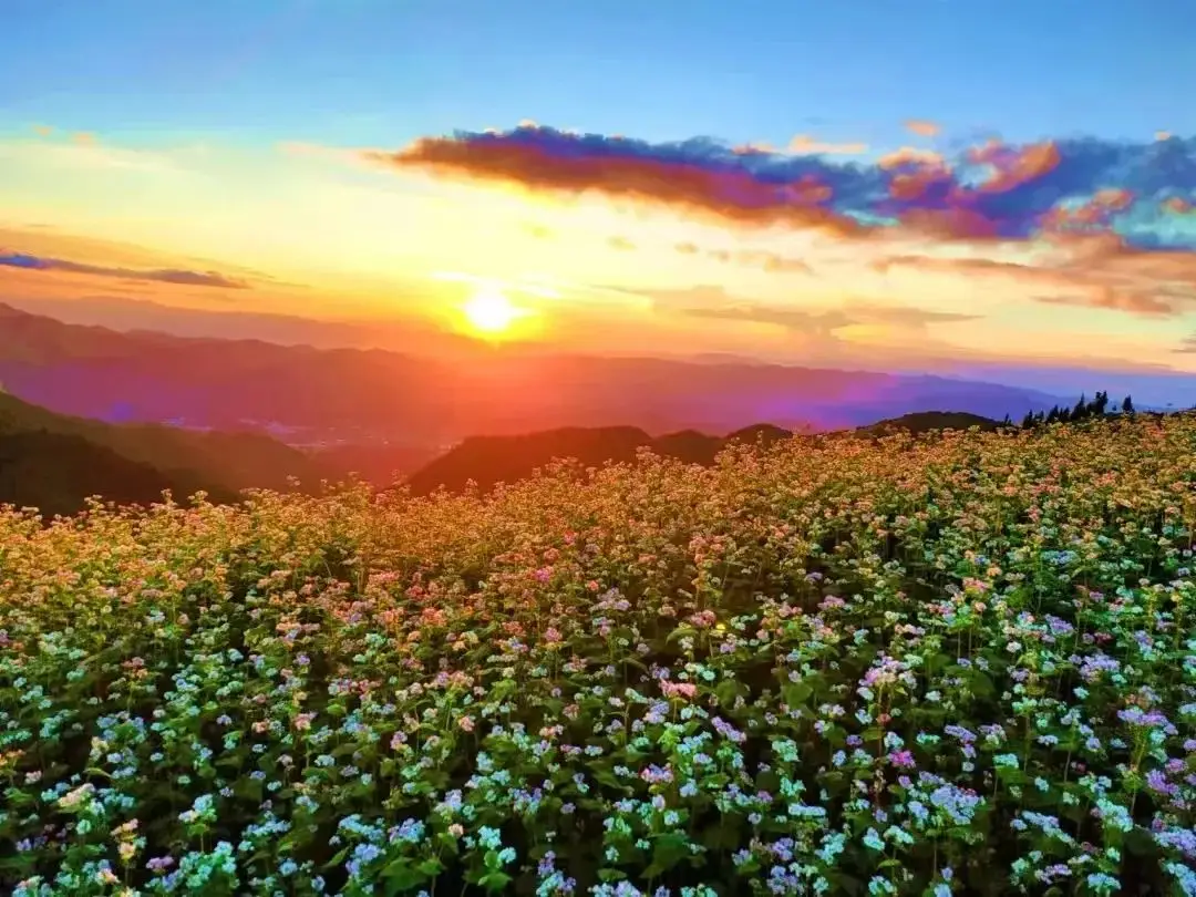 临沧大学城喝茶资源群