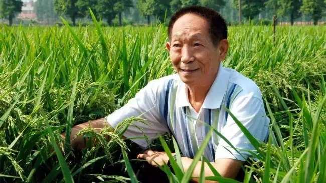袁隆平的成就和贡献