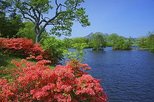 黄金网站软件app大全下载