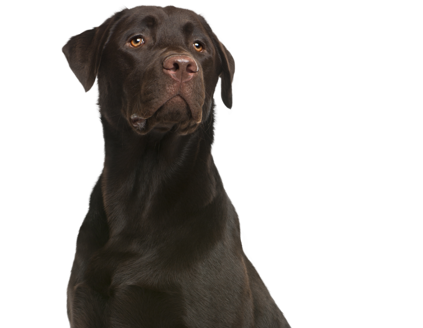 黄金网站app观影大全夸克 国际十大正规黄金交易平台名单