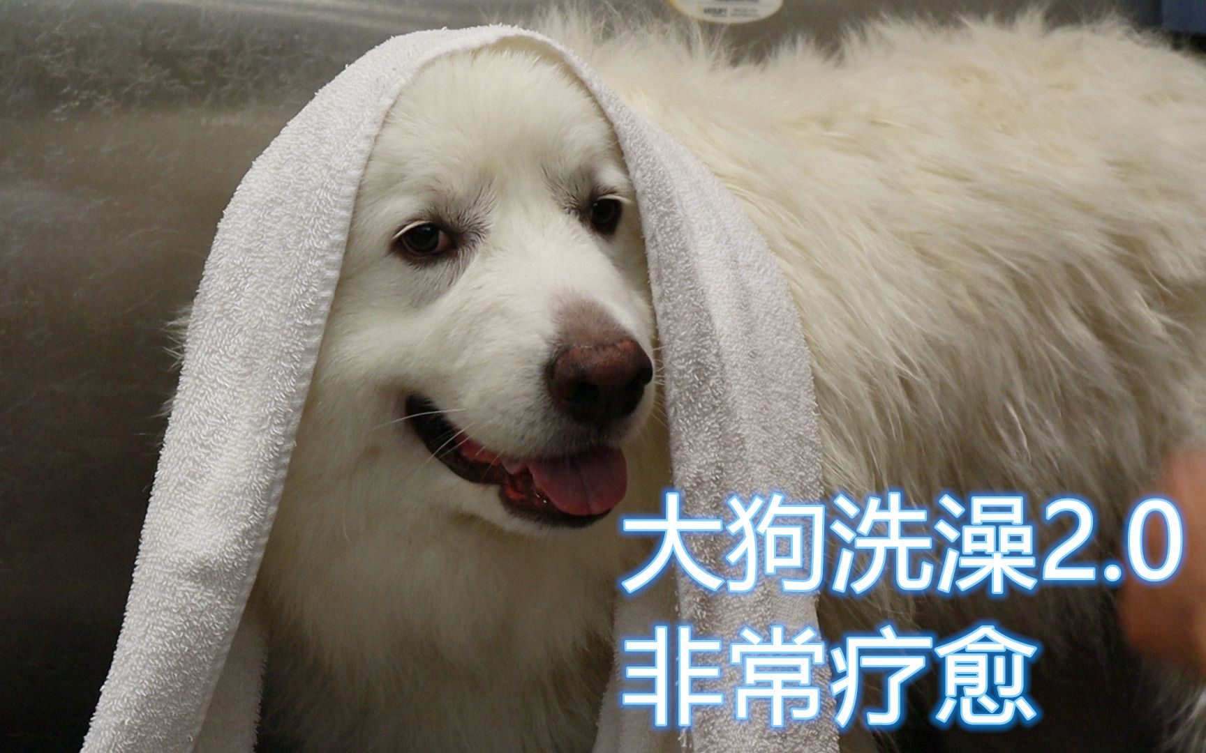 大连洗浴陪洗服务解析与深度体验指南