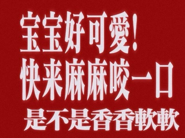 广州站姐快餐论坛：追星产业链的隐形枢纽及生存之道