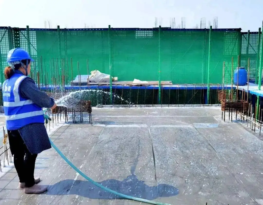 金钱树如何养护 金钱树会开花吗