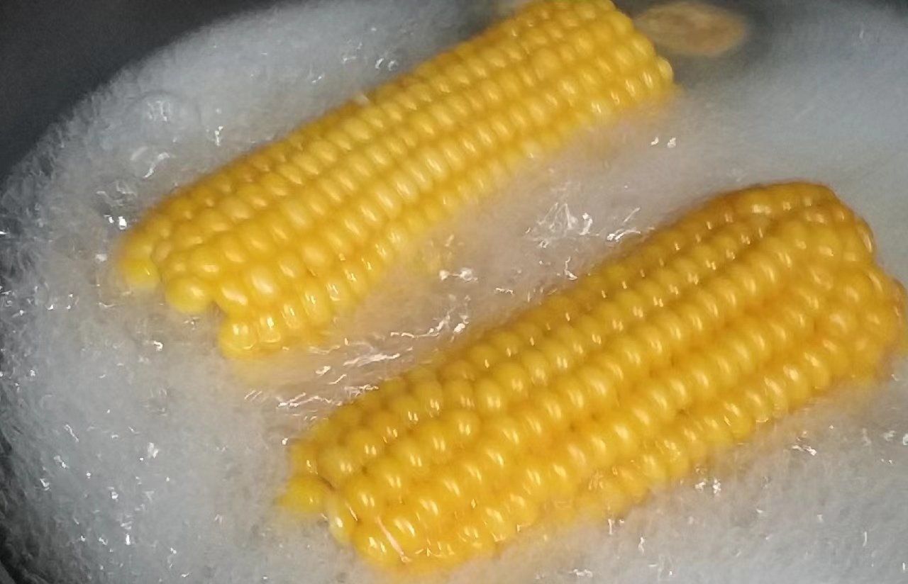 玉米要煮多久 玉米为什么叫玉米