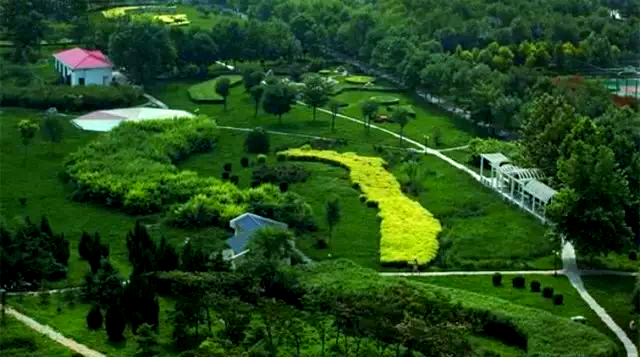 传统茶楼为何留客难?线上点单系统省30%人力成本