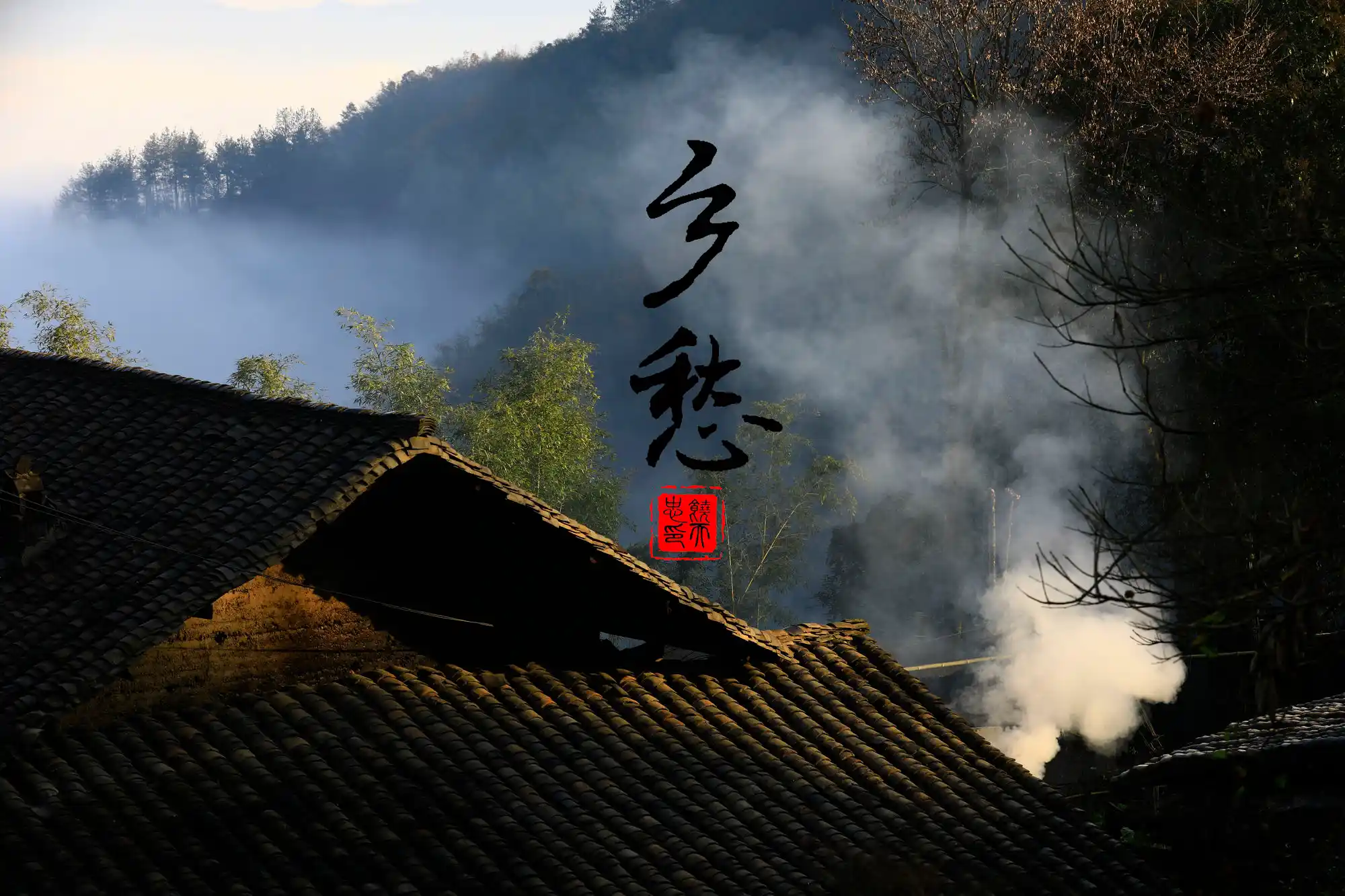 乡愁心底的痛 他乡月与故乡灯
