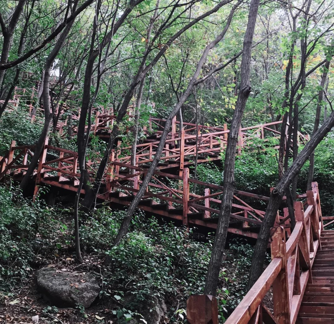 商洛周边游玩及住宿指南：西安避暑好去处全攻略