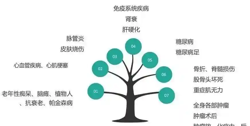 “细胞治疗”是怎么一回事？...