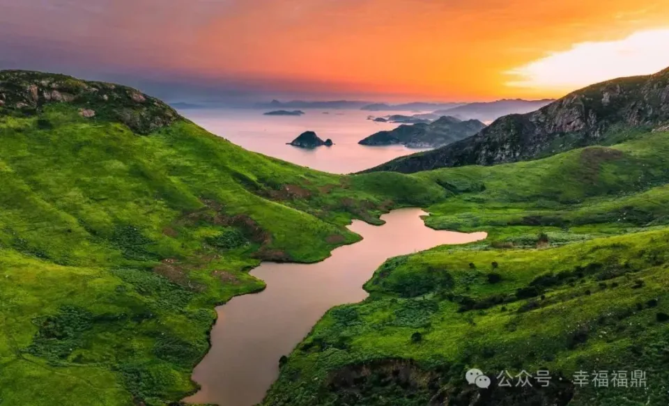 福州高端茶上门服务怎么选才不踩坑?