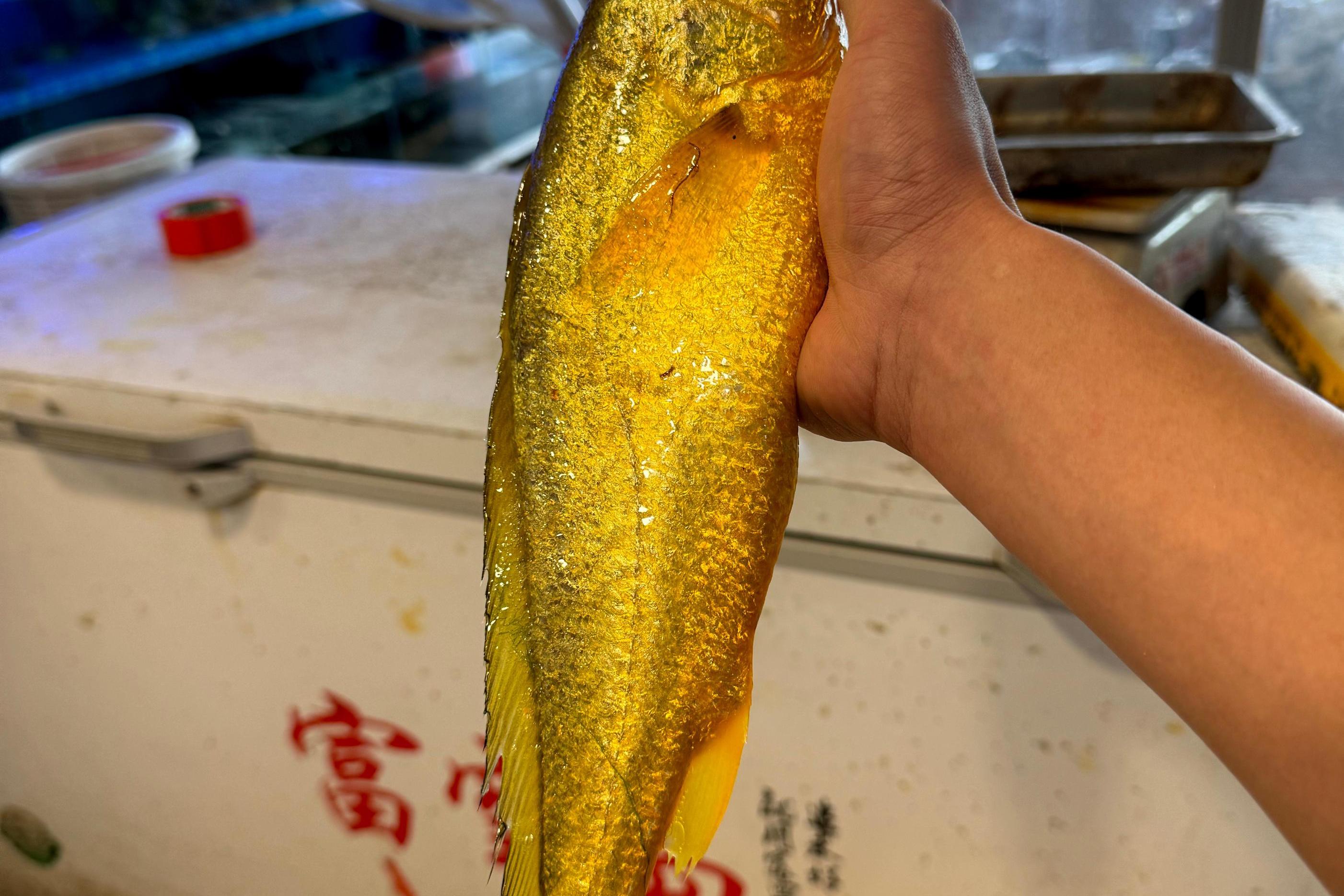 水产价格