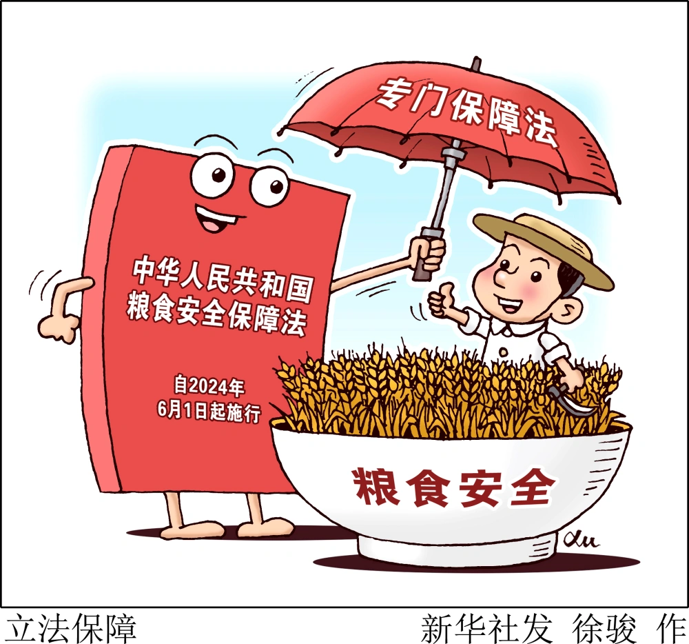 粮食安全守住三条底线 粮食安全包括哪些方面