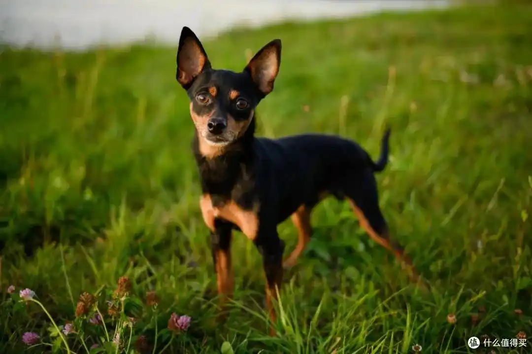 为什么穷人家会养出“富二代”  富二代到底可怕吗