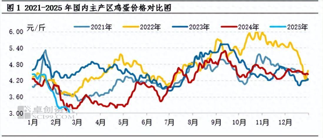 鸡蛋 价格