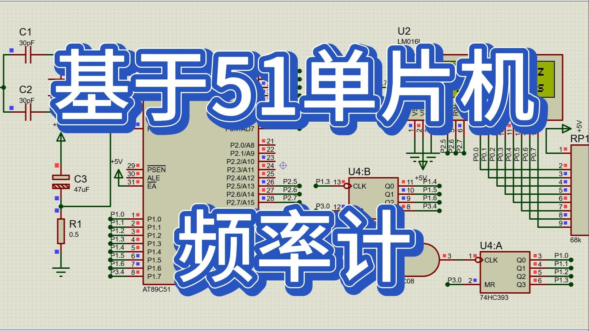北京51龙凤茶楼论坛的文化密码,老字号茶馆的当代复兴,传统与流量的碰撞实验