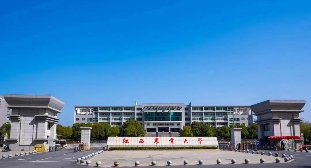 江西农业大学属于哪个级别 江西农业大学排名怎么样