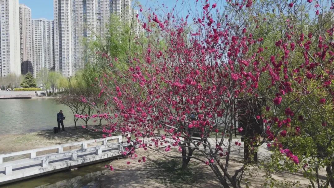 年末十大“谣言”,你知道几个呢?...