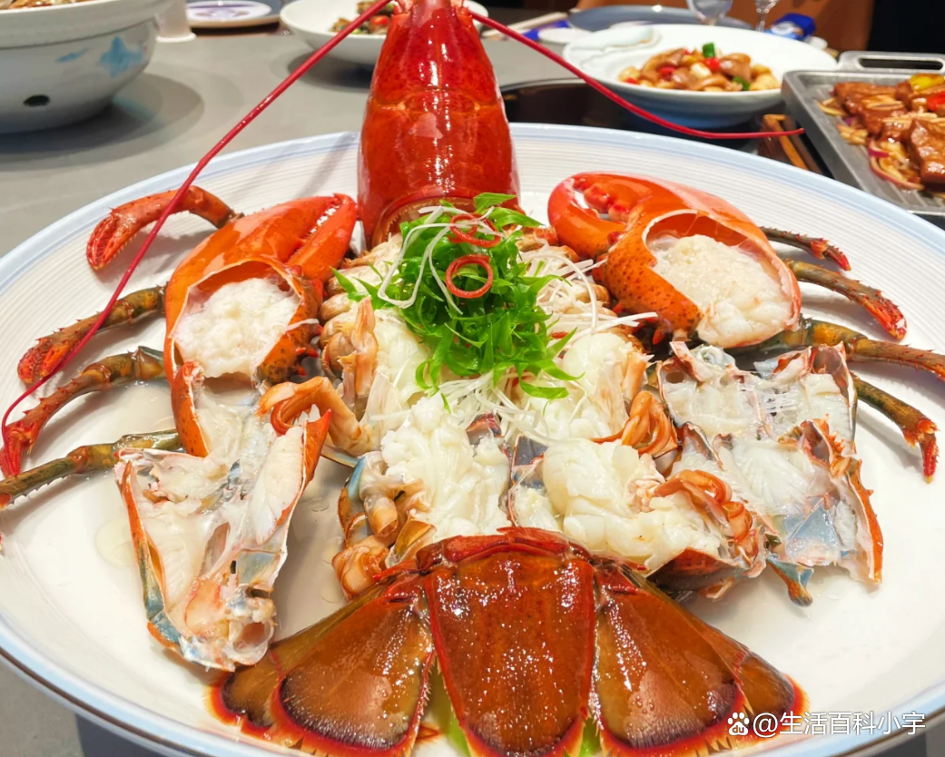 大龙虾价格