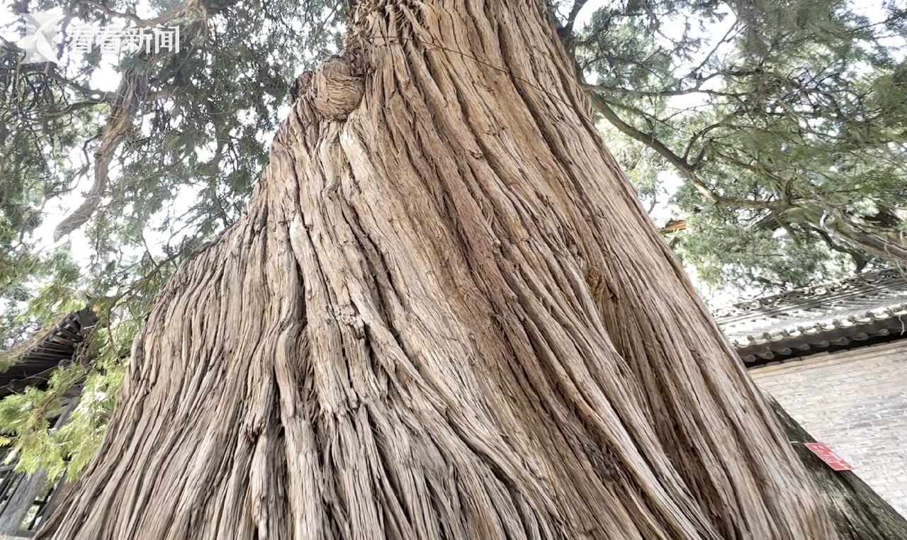 荣耀手机是华为的品牌吗