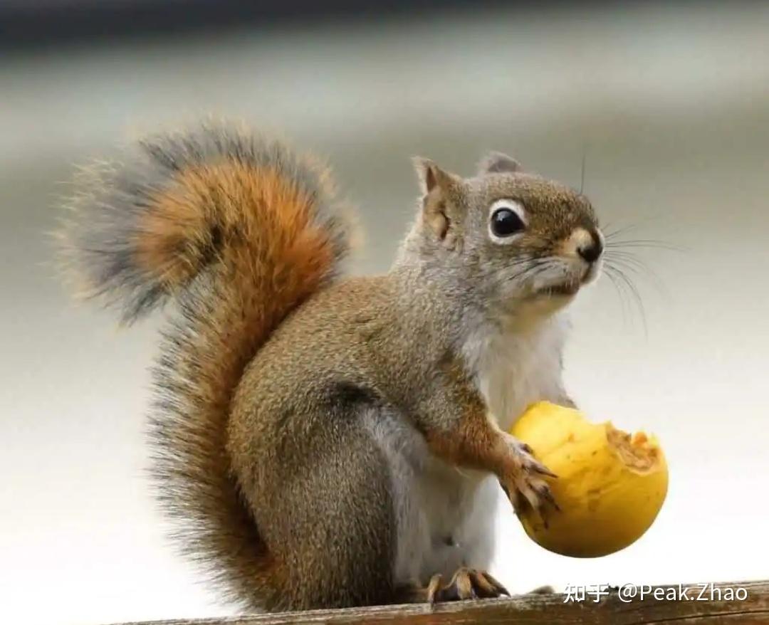 24小时上门服务APP免费安装全攻略详解