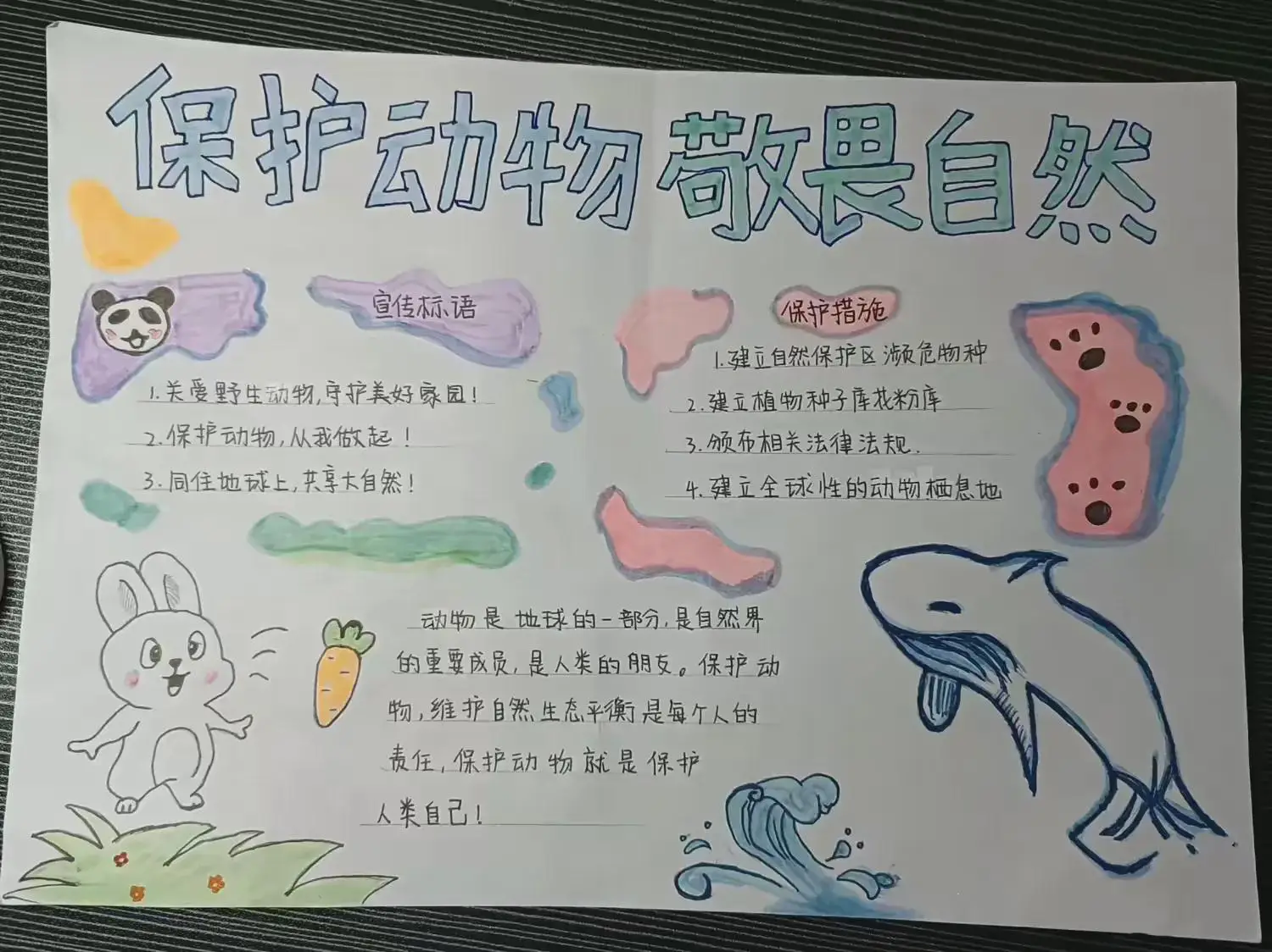 动物对人类独特贡献 河狸为何成为加拿大国宝