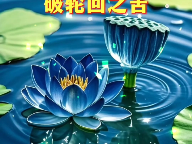 这群女孩在网上抱团, 只为等待高墙后的那个他出来...