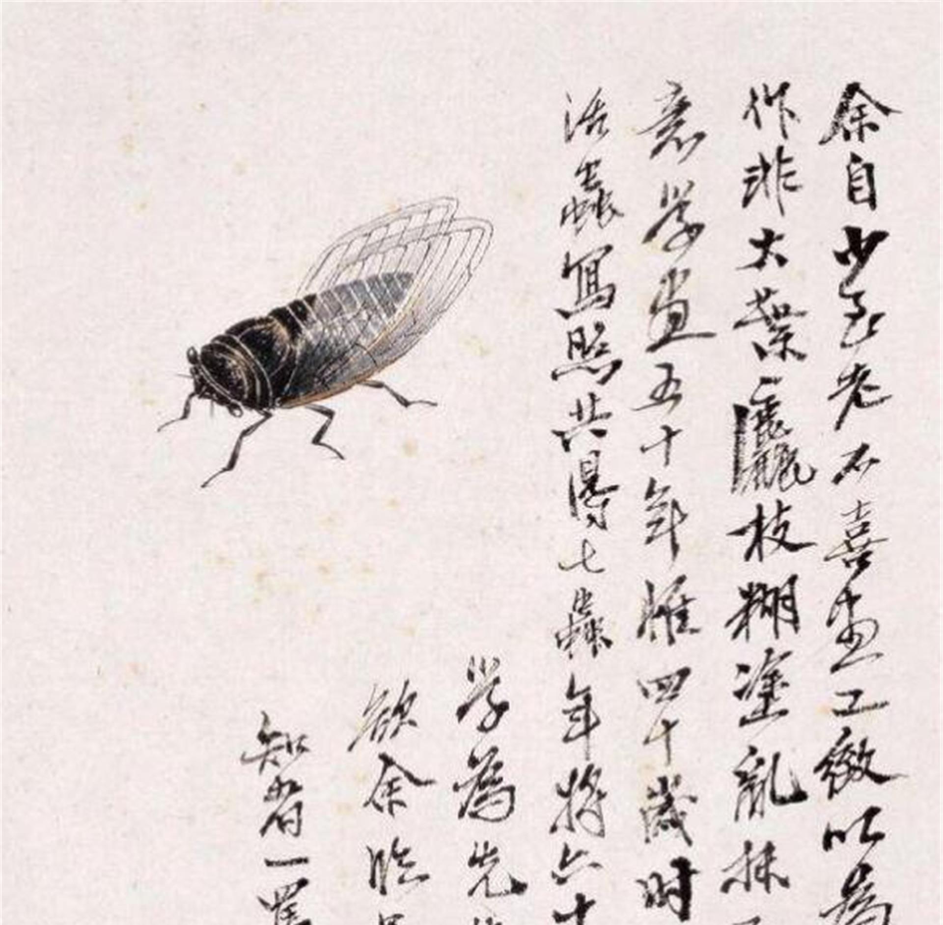 齐白石抗战期间如何展现爱国情怀 齐白石为何能成为国画大师