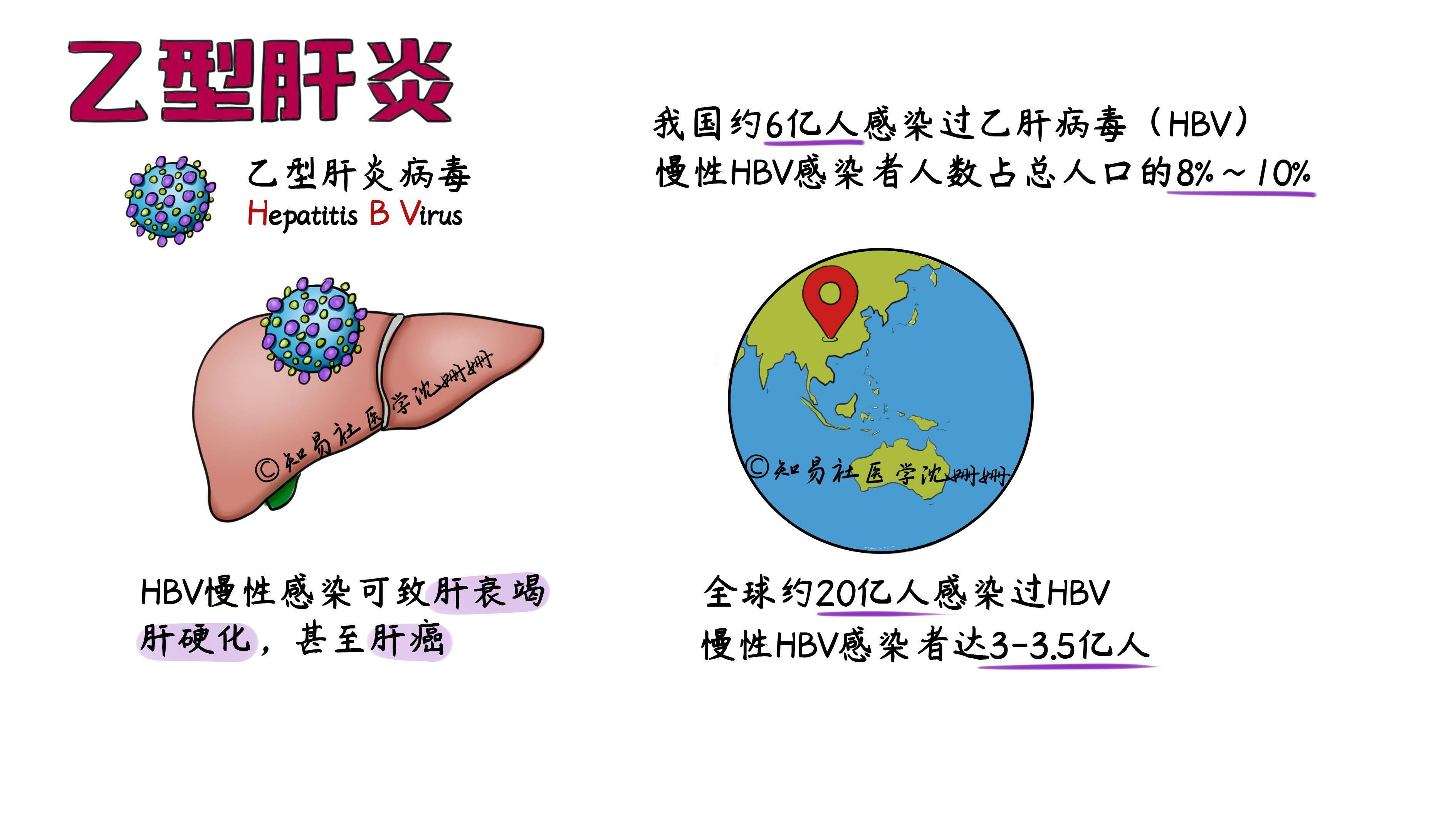 乙肝能治好吗