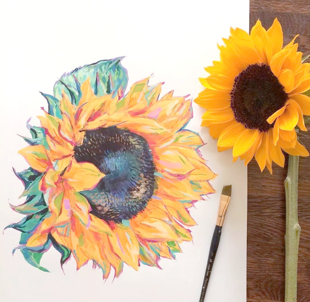 范丽琴手绘教程