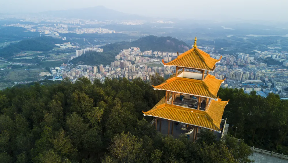 新看点:福永那里有鸡婆是真的吗?本地生活服务现状与观察分析