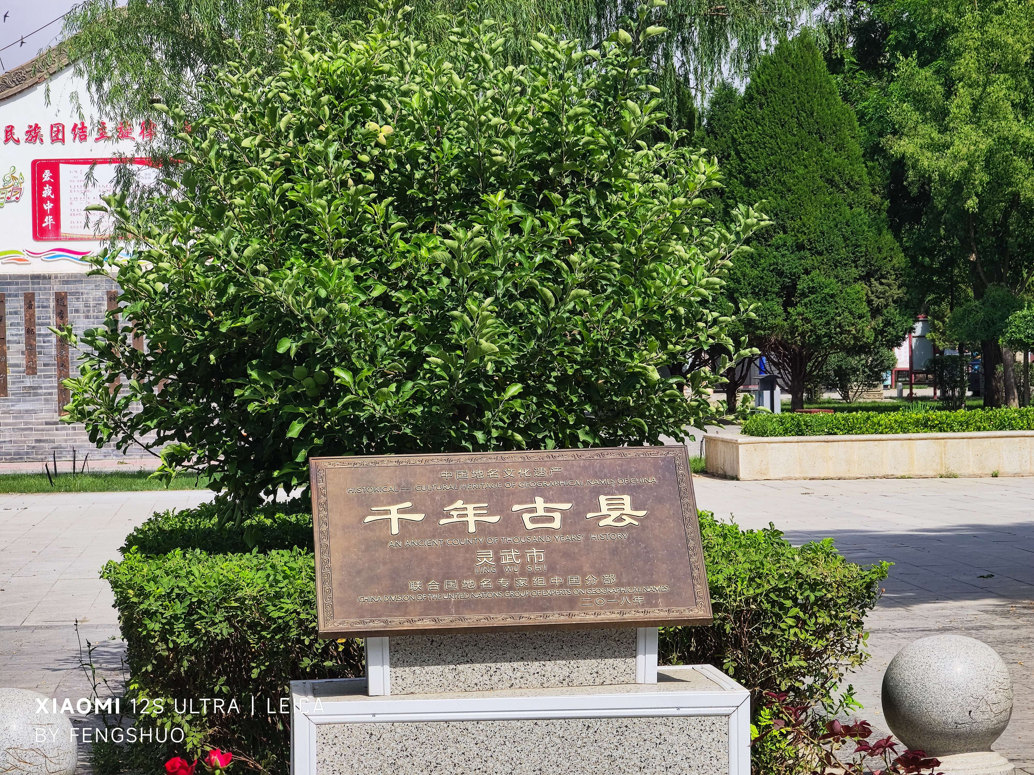 灵武从哪里可以约到模特