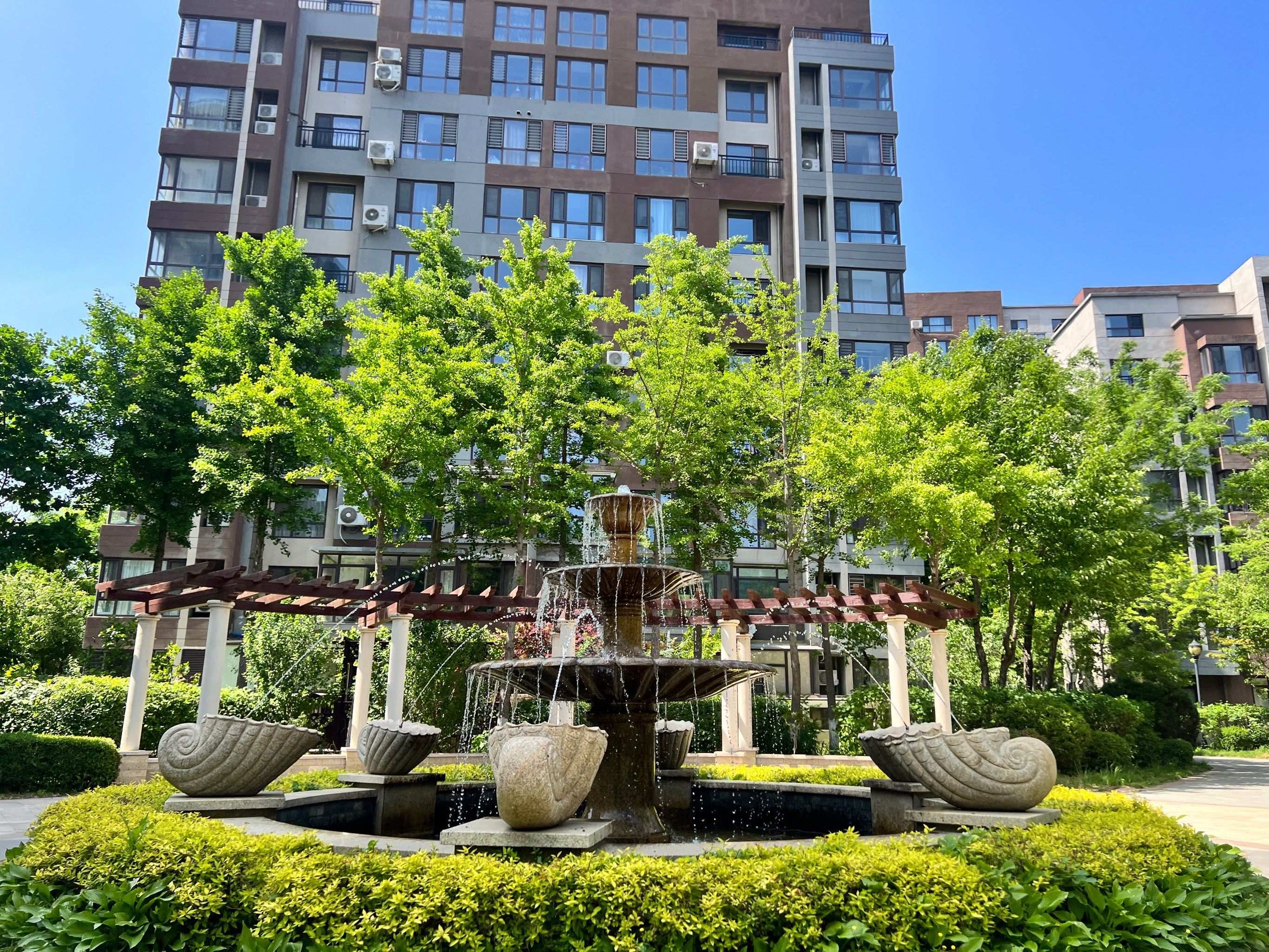 普兰店品茶工作室私人定制体验