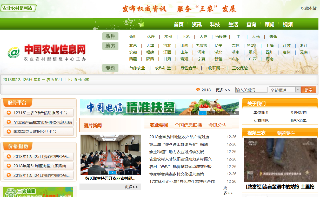 中国农网
