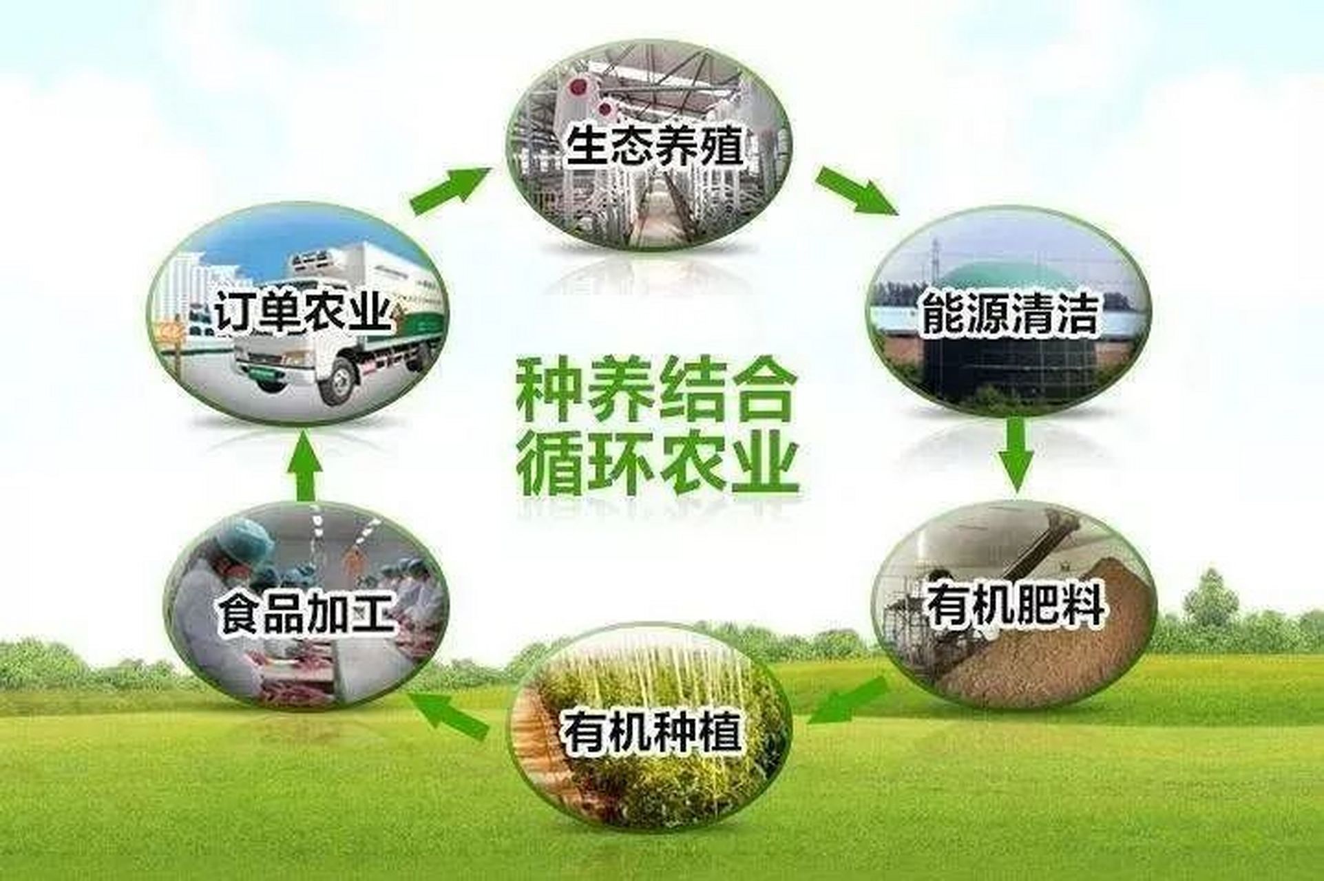 什么是有机农业