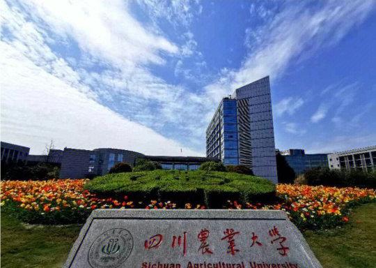 四川农业大学校区有哪些 四川农业大学冷门专业有哪些