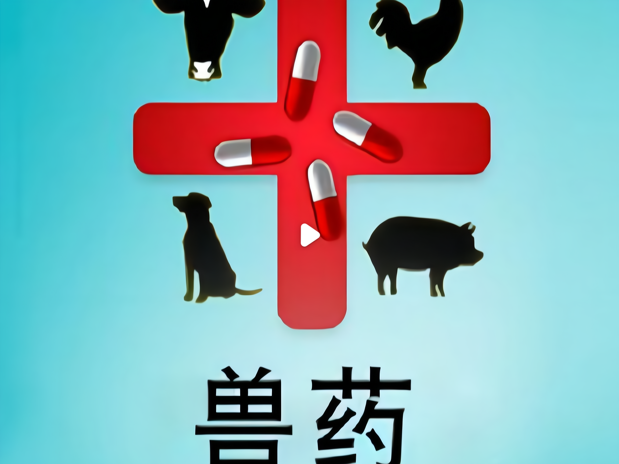 兽药热门产品推荐 兽药分类与品牌有哪些