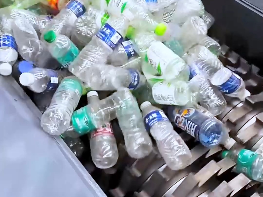 白城大学城约会暗号