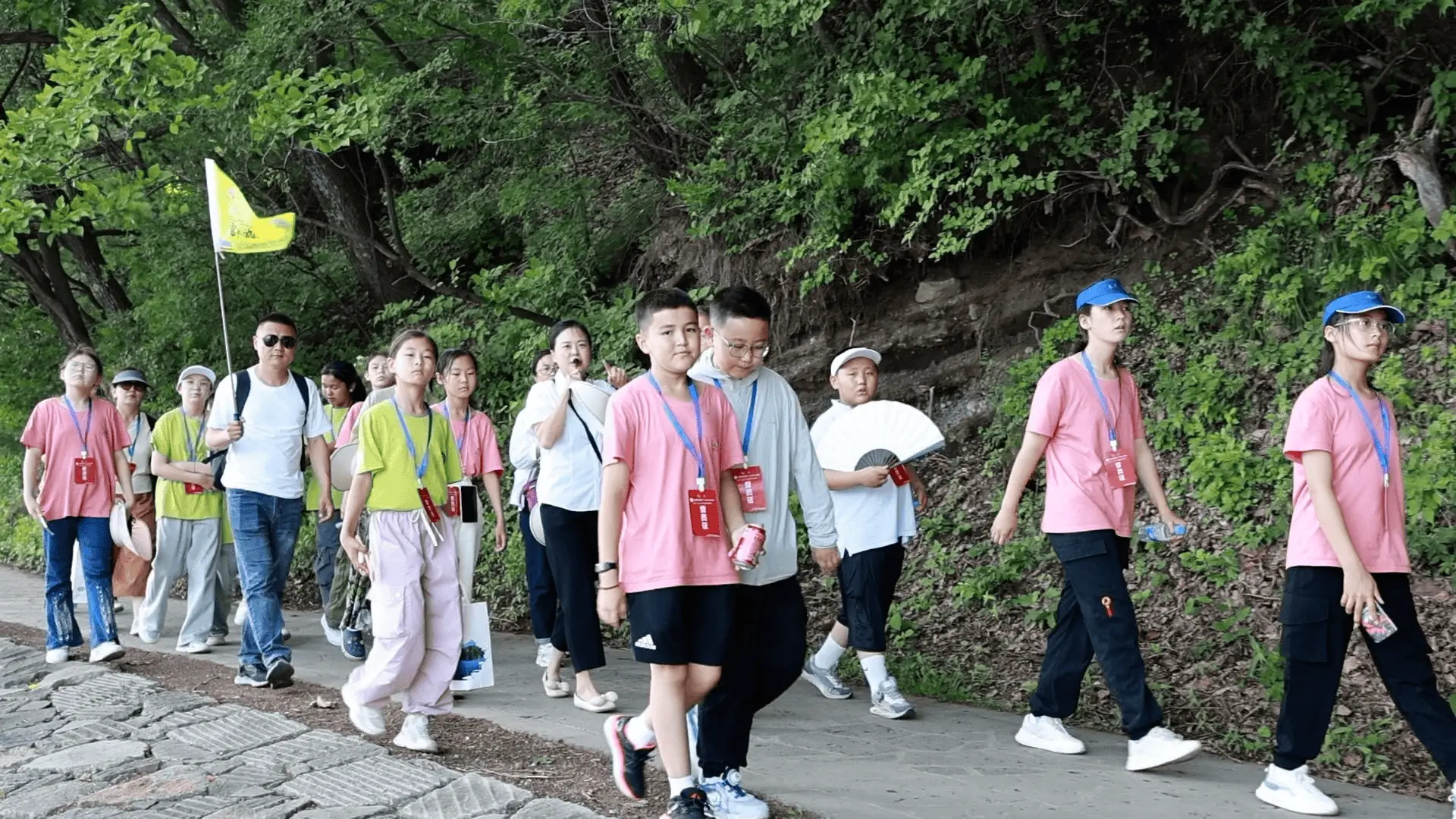 私人导游陪床服务价格全解析