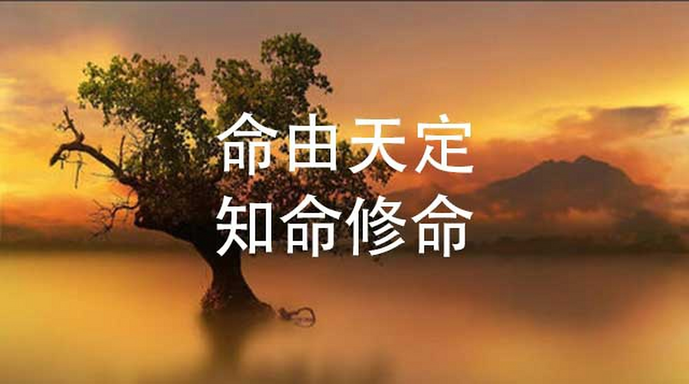 年轻人意外离世原因 如何面对突如其来的变故