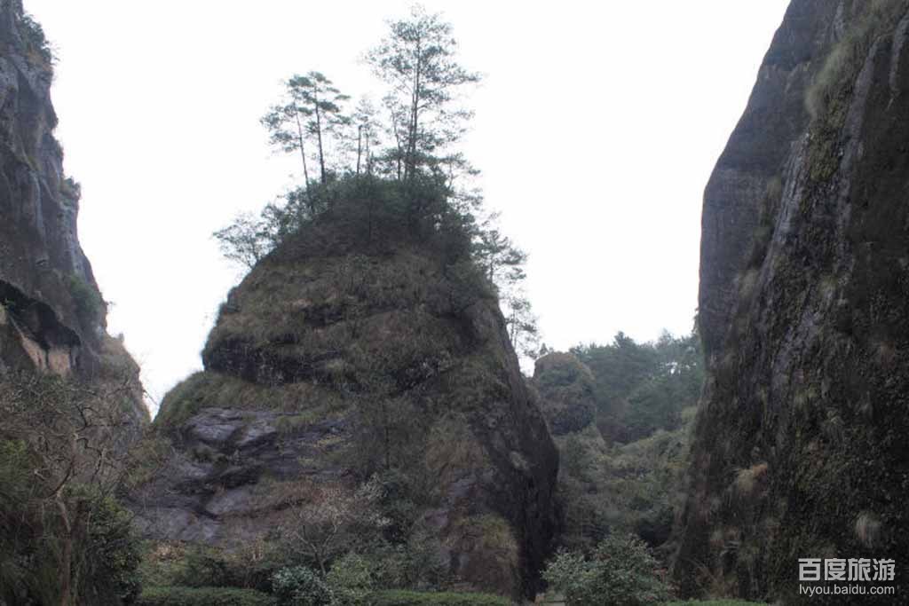 咸宁新手去哪品茶才不踩雷？