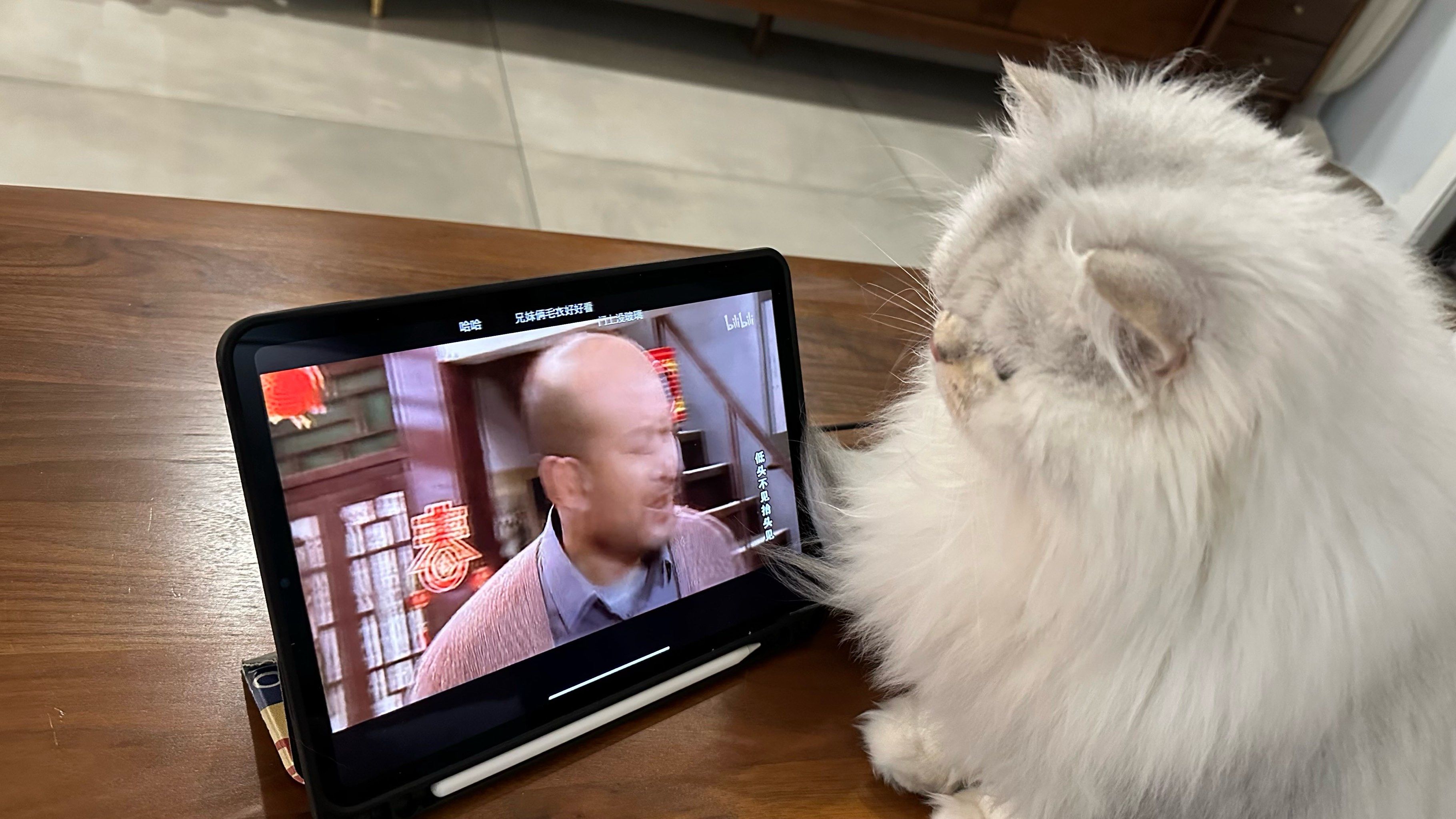 苹果手机可以下载什么免费追剧软件 免费追剧软件推荐下载